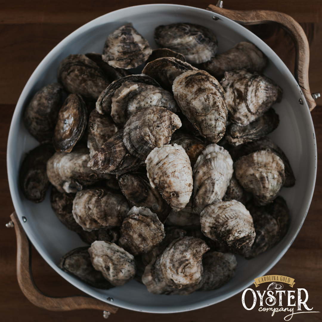 CAROLINA GOLD OYSTERS (LOCAL PICKUP ONLY)