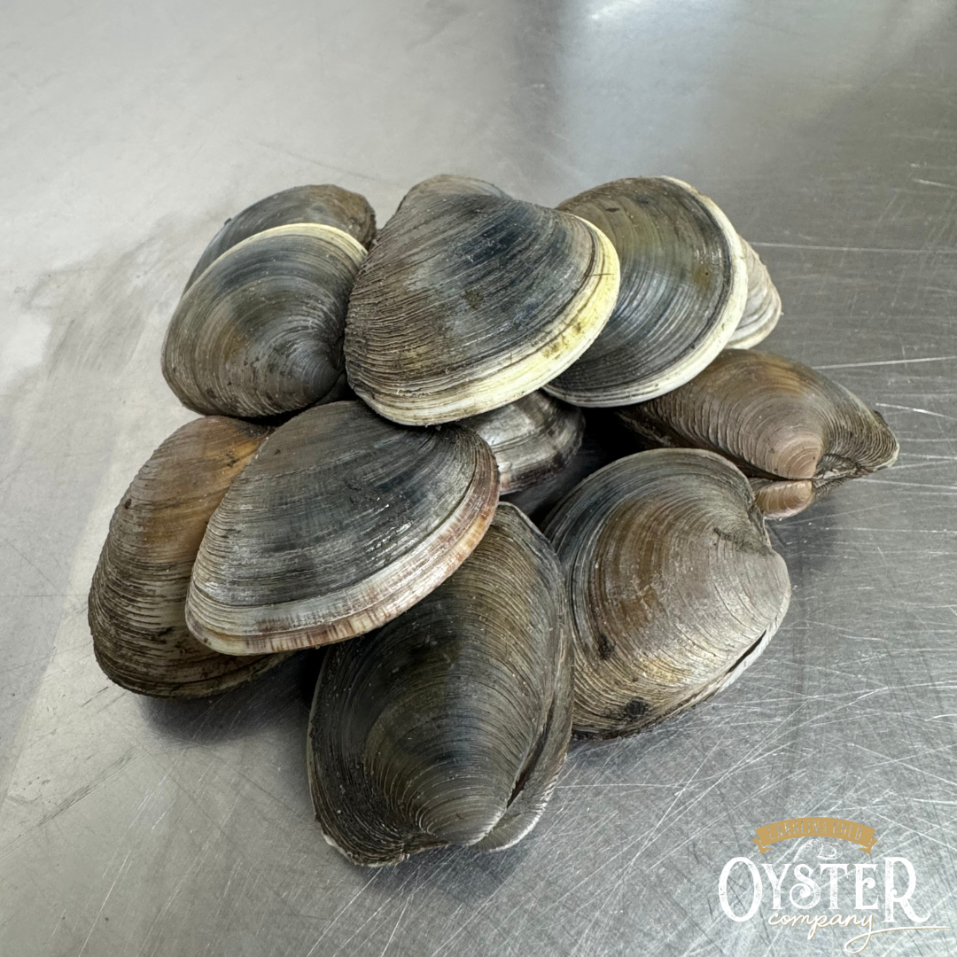 CAROLINA GOLD CLAMS (LOCAL PICKUP ONLY)