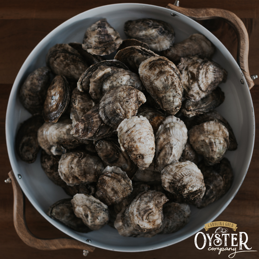 GOLD POINT OYSTERS (SHIPPED ONLY)