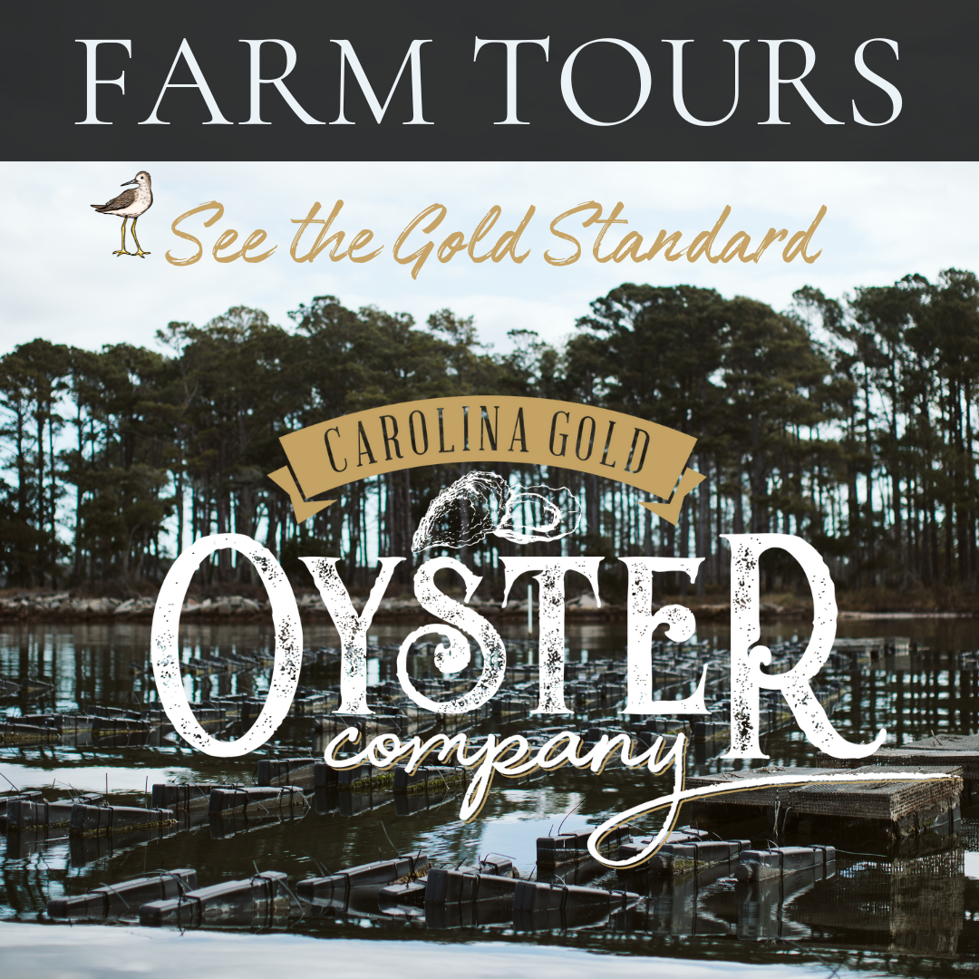 Carolina Gold Farm Tour w/Captain Edward Castlebury